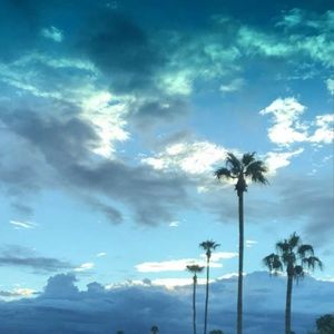 Temporarily removed items for sale